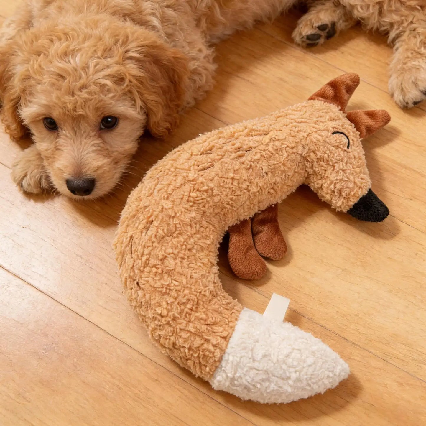 Plush Fox Chew & Squeak Toy for Cats & Kittens | Interactive