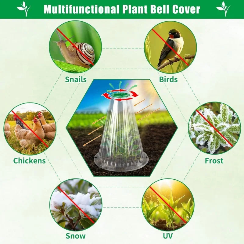 Seedling Protector Caps & Snail Collars – 5 or 10 Pack