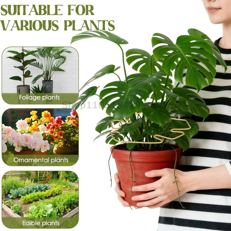 Adjustable Metal Plant Stem Support Clips | Vine & Flower Trainer
