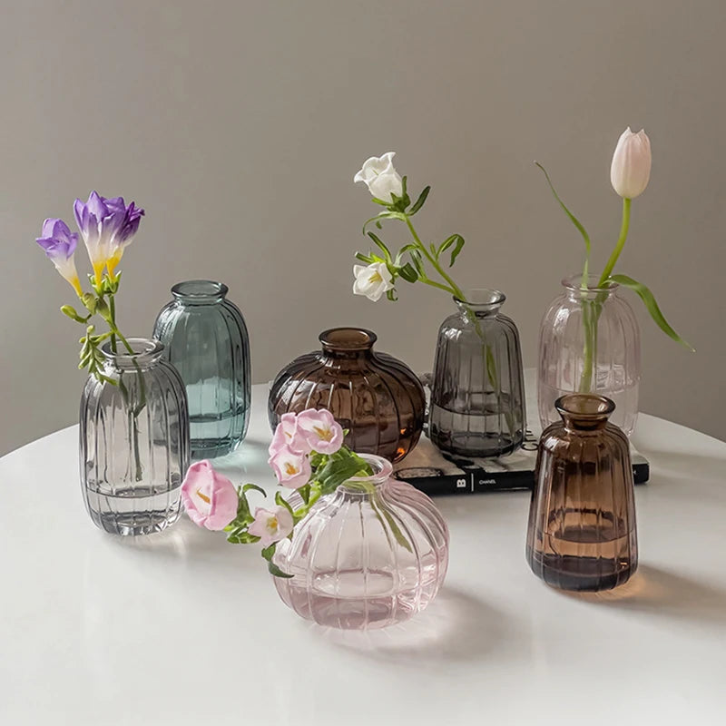 Vintage Transparent Glass Vase | Flower Bottle & Plant Pot