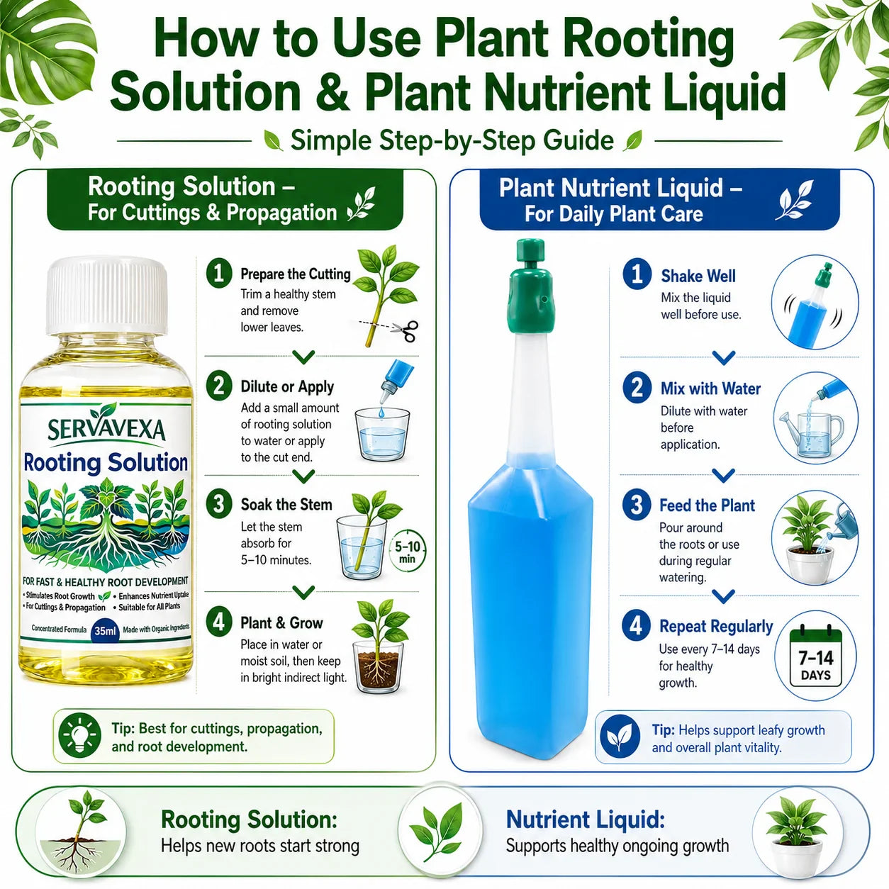 Plant Rooting & Nutrient Liquid Set – Boost Growth & Cuttings