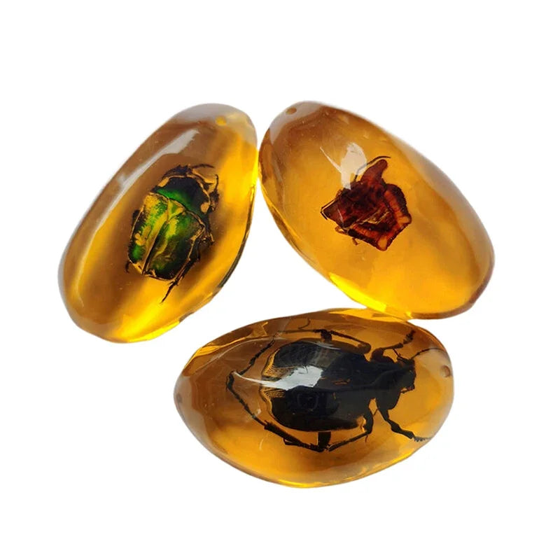 Scorpion Insect Amber Gemstone | Natural Mineral Stone Decor Amber Gemstone Specimen Peaceful Pleasures Health and Wellness