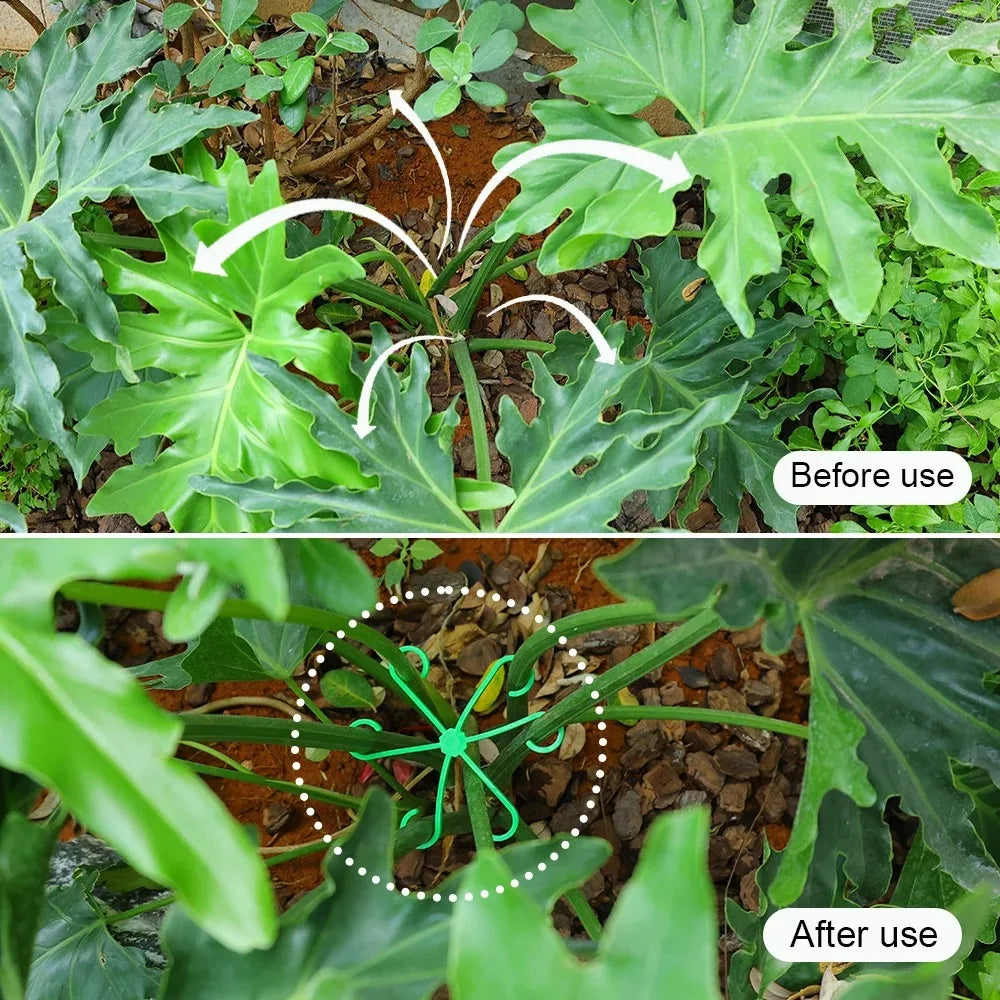 4PCS Plant Stem Support Stakes – Climbing Houseplant Trellis Hoops