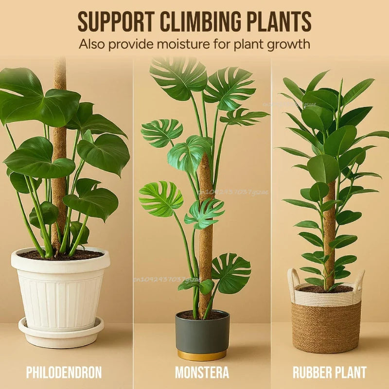 Bendable Coco Coir Moss Pole for Monstera & Climbing Plants