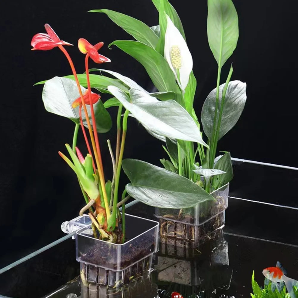 Aquarium Hydroponic Planting Cups | Clear Acrylic Fish Tank Holder 3pc