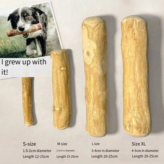 Natural Coffee Wood Dog Chew Toys Long Lasting Chewable Stick Dogs Supplies Stress Relief Chew Stick Pet Molar Toy for Dog Puppy Peaceful Pleasures Health and Wellness Brown M