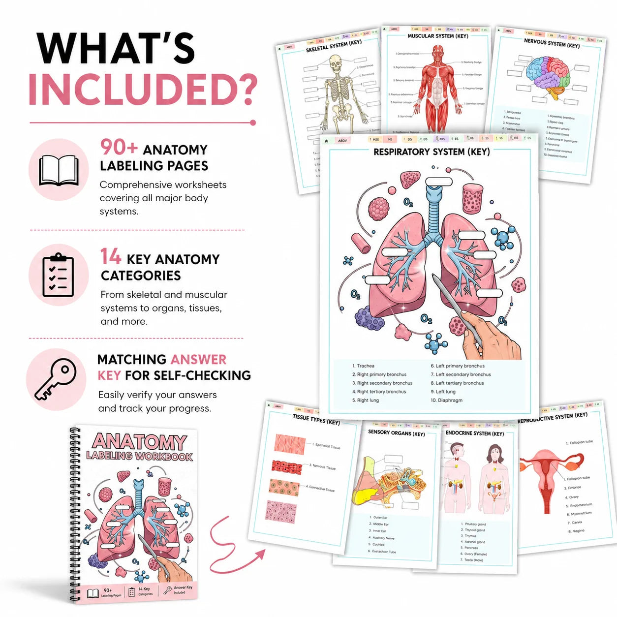Anatomy Labeling Workbook A5 Spiral-bound Study Guide 90+ Pages 14