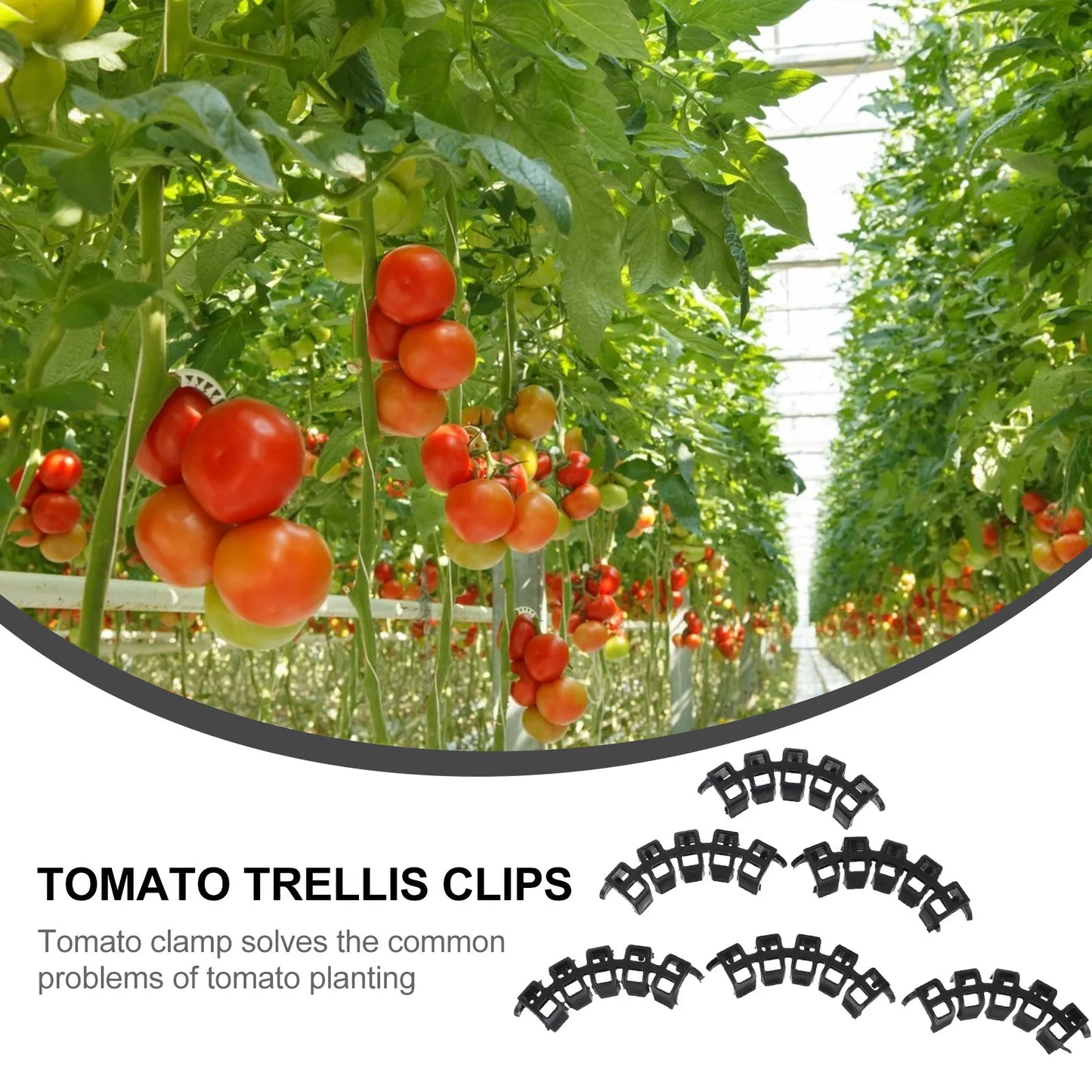100Pcs Tomato Clamp Plant Support Clips Easy Fasten Tomato Cucumber Vine Vegetables Growing Gardening Tool Plastic Holder Plant Peaceful Pleasures Health and Wellness