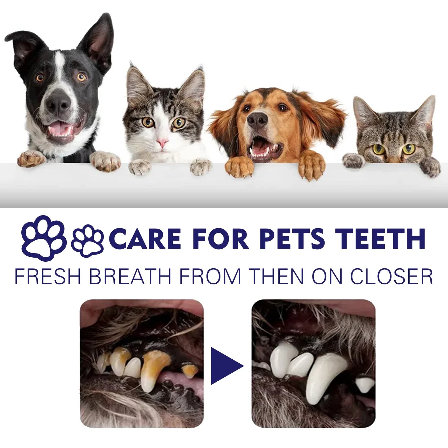 YEGBONG Pet Toothpaste – Tartar, Bad Breath & Whitening 50g