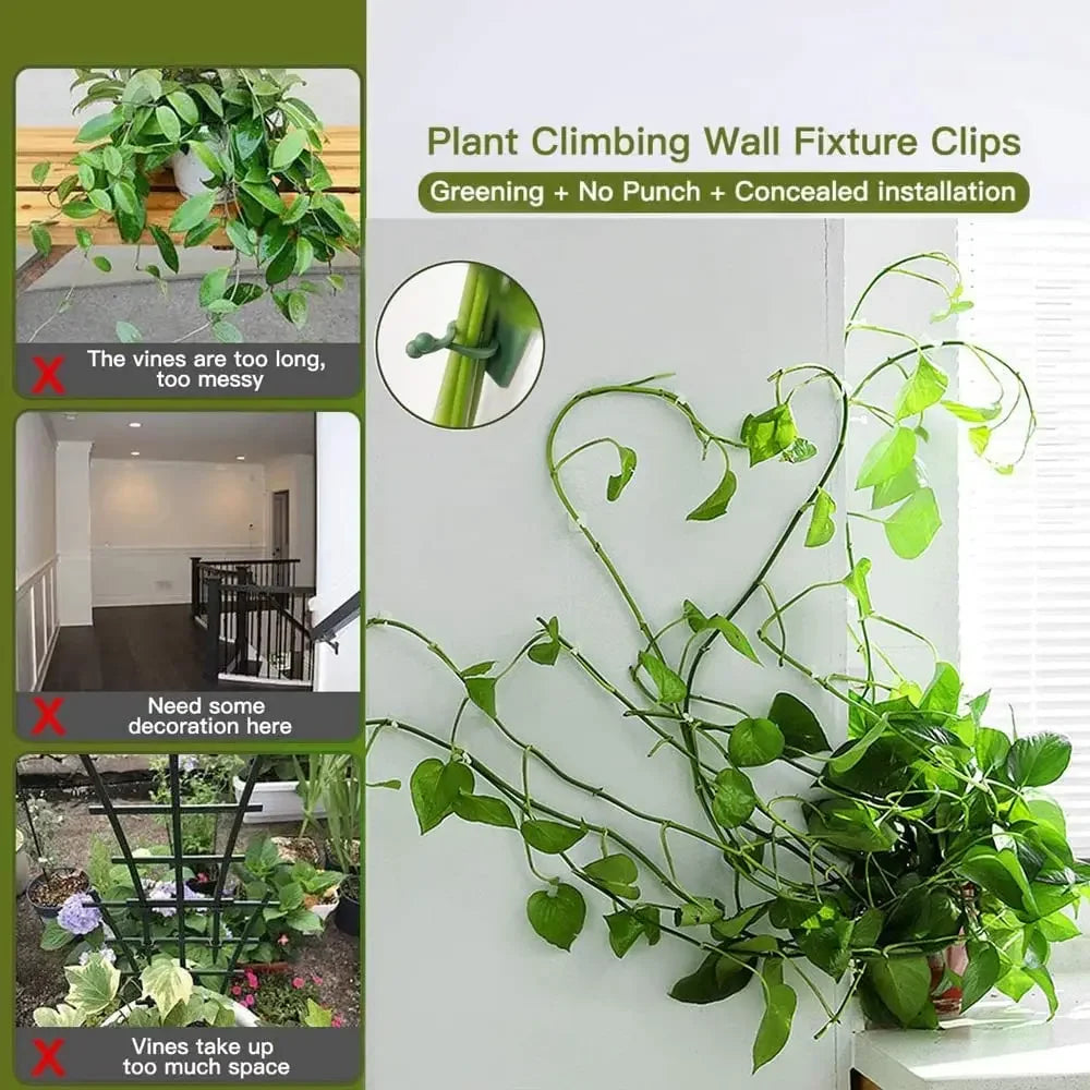 Self-Adhesive Plant Wall Clips – Vine Climbing Fixator 1-50 Pcs