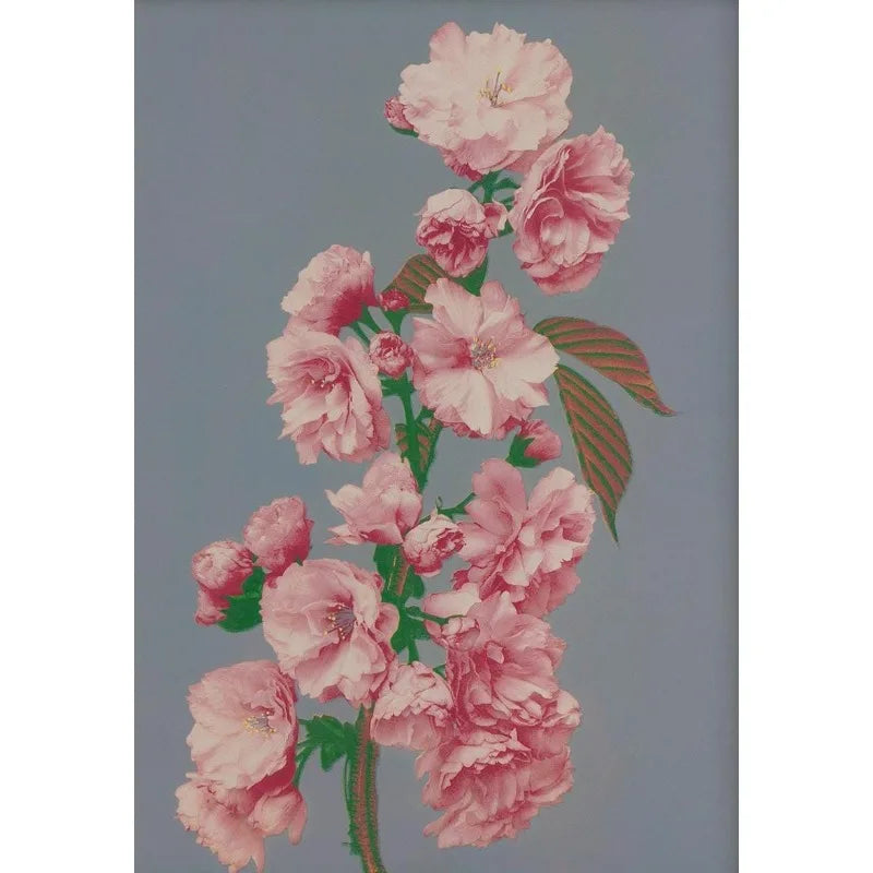 Retro Japanese Floral Illustration Poster Nature Botanical Flower Dahlia Sakura Azalea Canvas Painting Wall Art Room Home Dec Peaceful Pleasures Health and Wellness 9 20x30cm Unframed