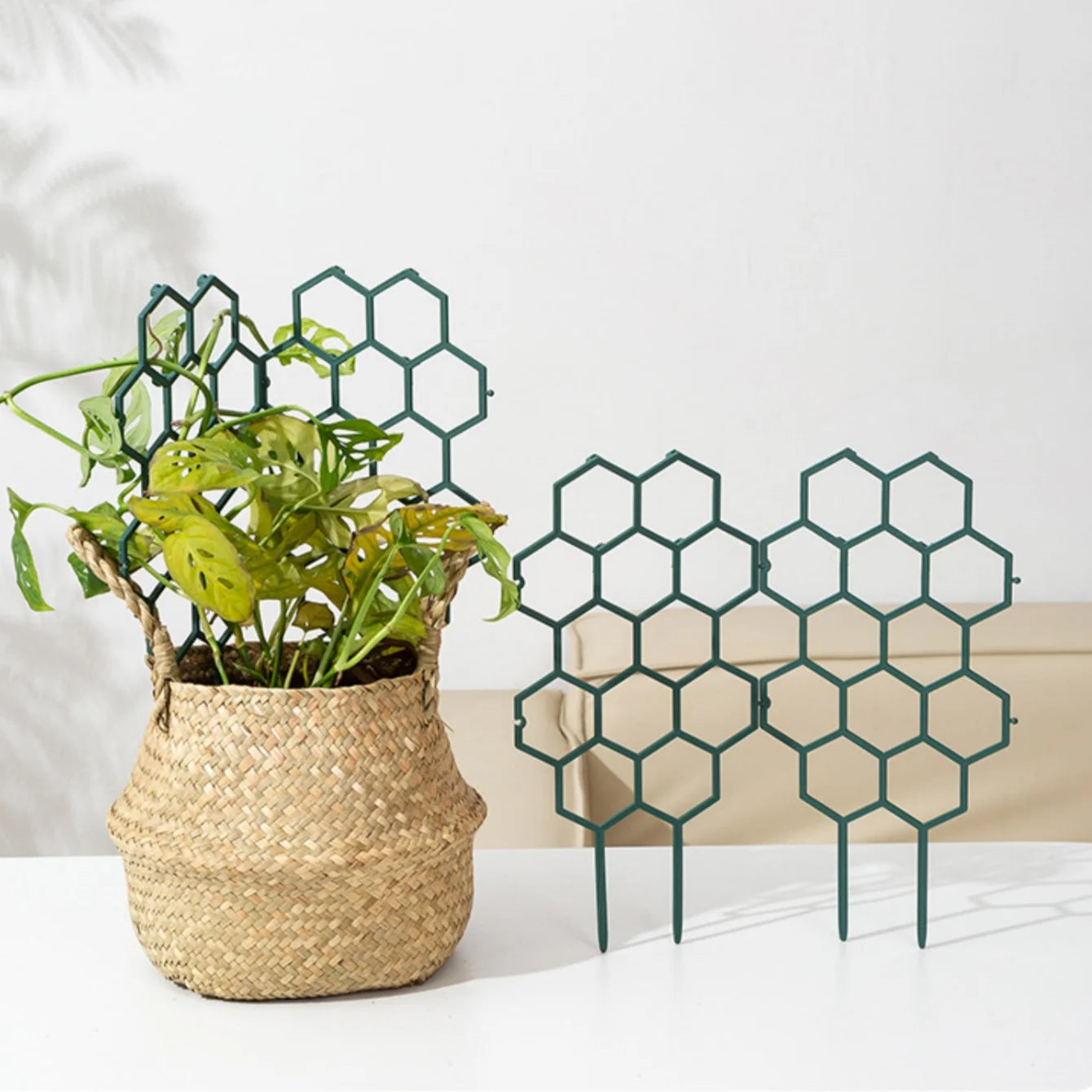 Honeycomb Plant Trellis | Indoor & Outdoor Climbing Support Stake Plant Trellis Stake Peaceful Pleasures Health and Wellness