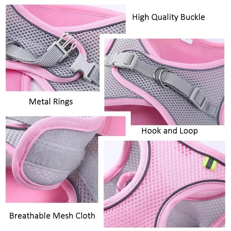 Cat Harness and Belt Set Breathable Accessories for Cats Pet Products Necklace Collar Pets Supplies Home Collars Things Cats Peaceful Pleasures Health and Wellness