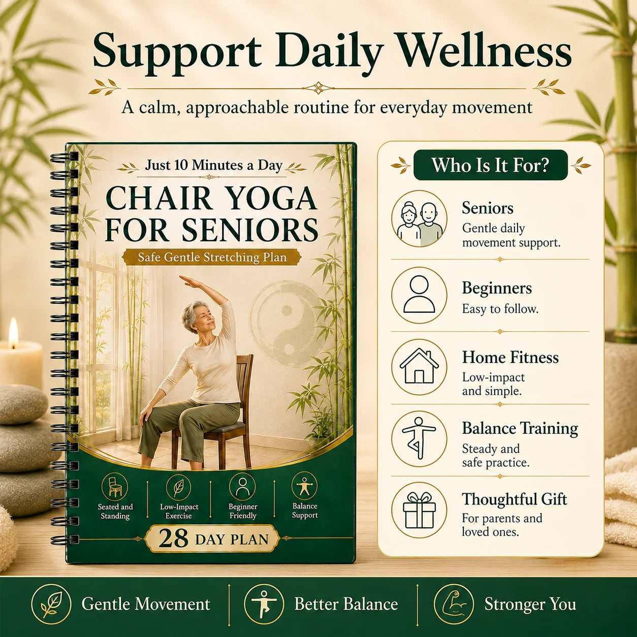 Chair Supported Tai Chi Walking Yoga Seniors A5 Spiral 28 Day
