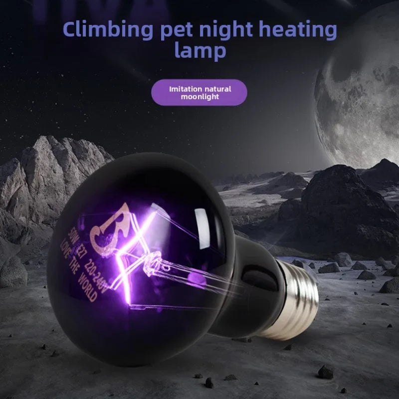 Reptile Moonlight Night Lamp | Chameleon & Lizard Heat Bulb