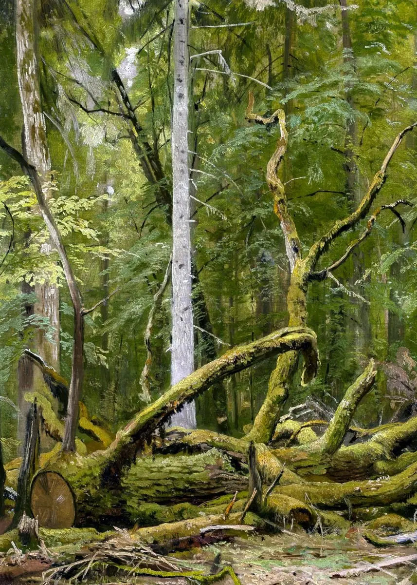 Ivan Shishkin Landscape Canvas Wall Art Print | Unframed