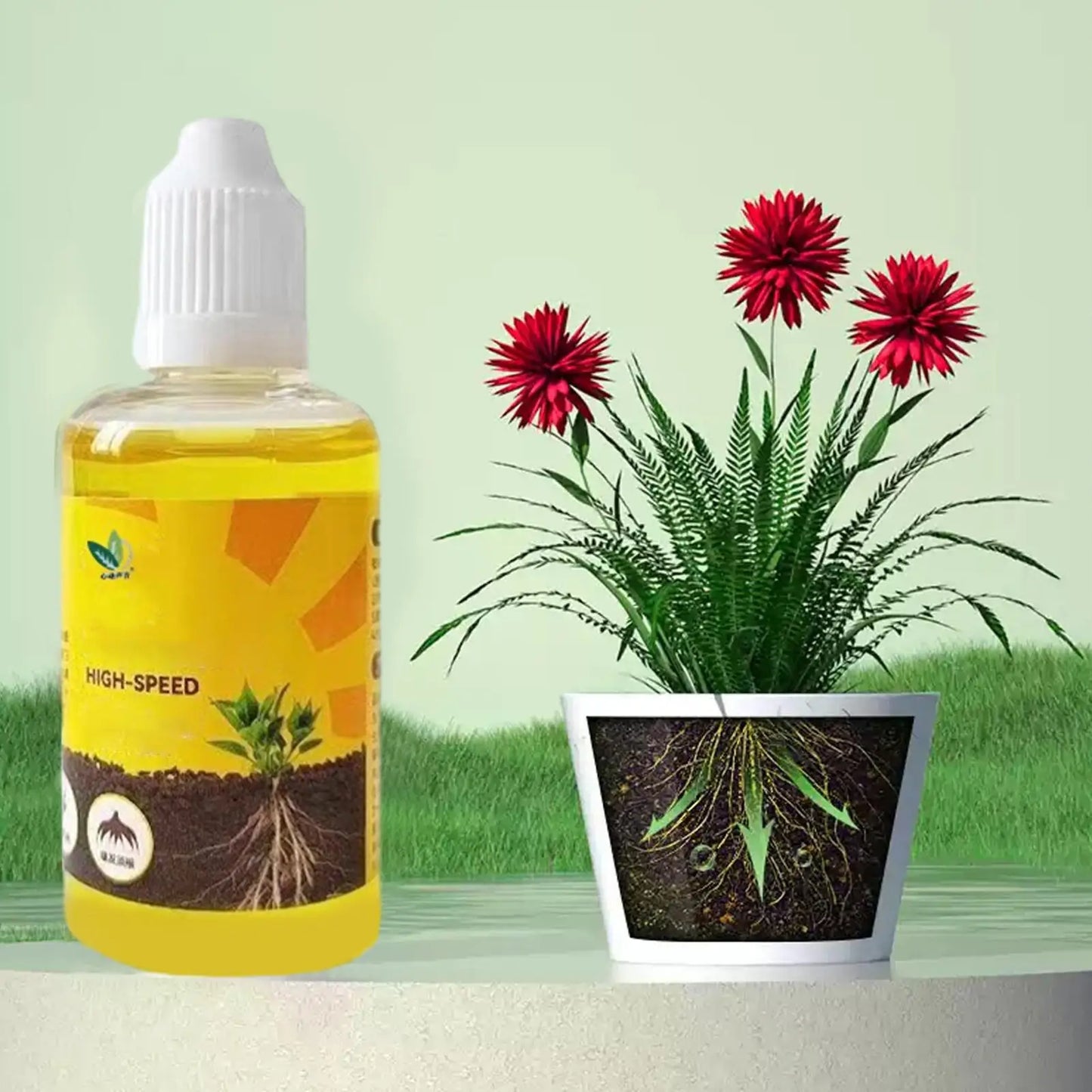 50ml Plant Rooting Stimulator Liquid | Cuttings & Succulents Plant Rooting Liquid Peaceful Pleasures Health and Wellness