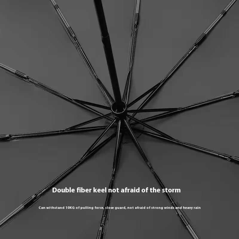 20-Rib Auto Folding Umbrella – Large Windproof Sun & Rain