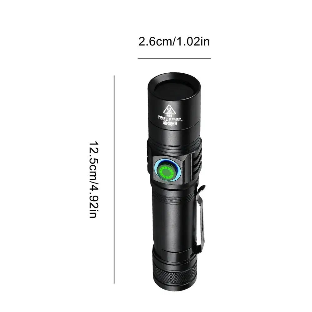 365nm UV Flashlight Rechargeable | Pet Urine & Stain Detector