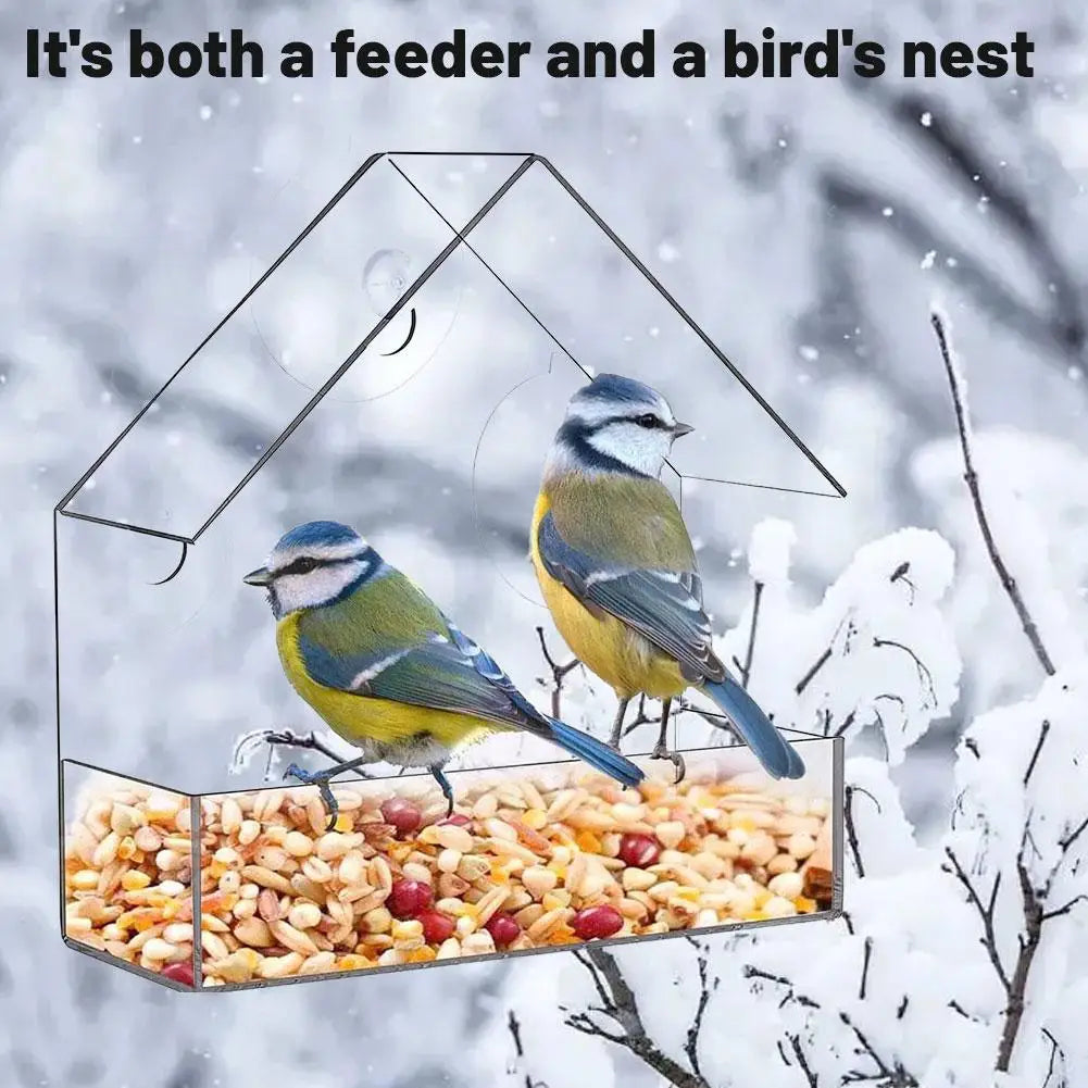 Acrylic Bird Feeder with Suction Cup for Wildlife Peaceful Pleasures Health and Wellness