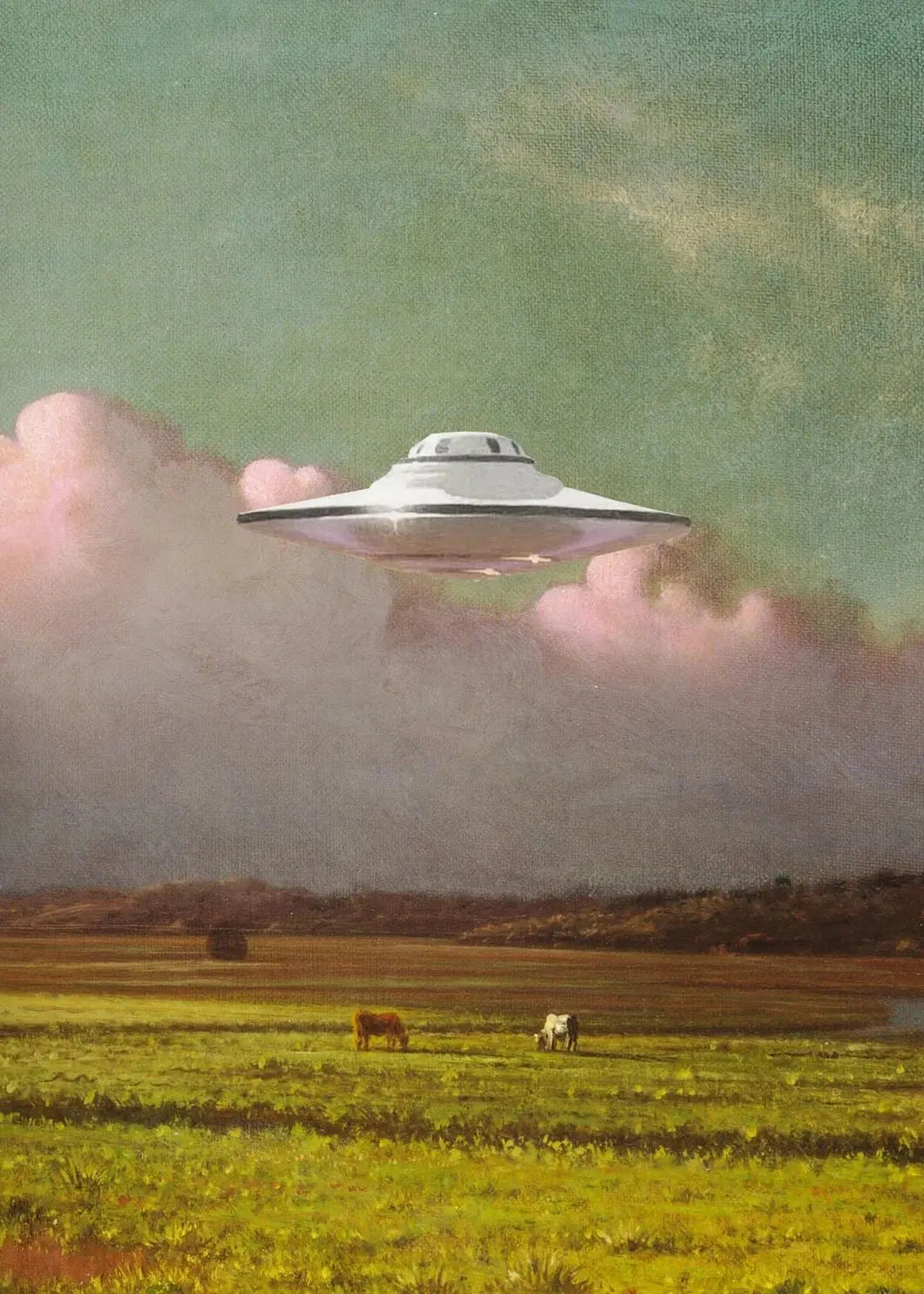 Retro UFO Alien Cow Canvas Poster Disco Ball Cactus Landscape Trippy Wall Art Surreal Aesthetic Home Decor Mural Peaceful Pleasures Health and Wellness 1 20x30cm Unframed