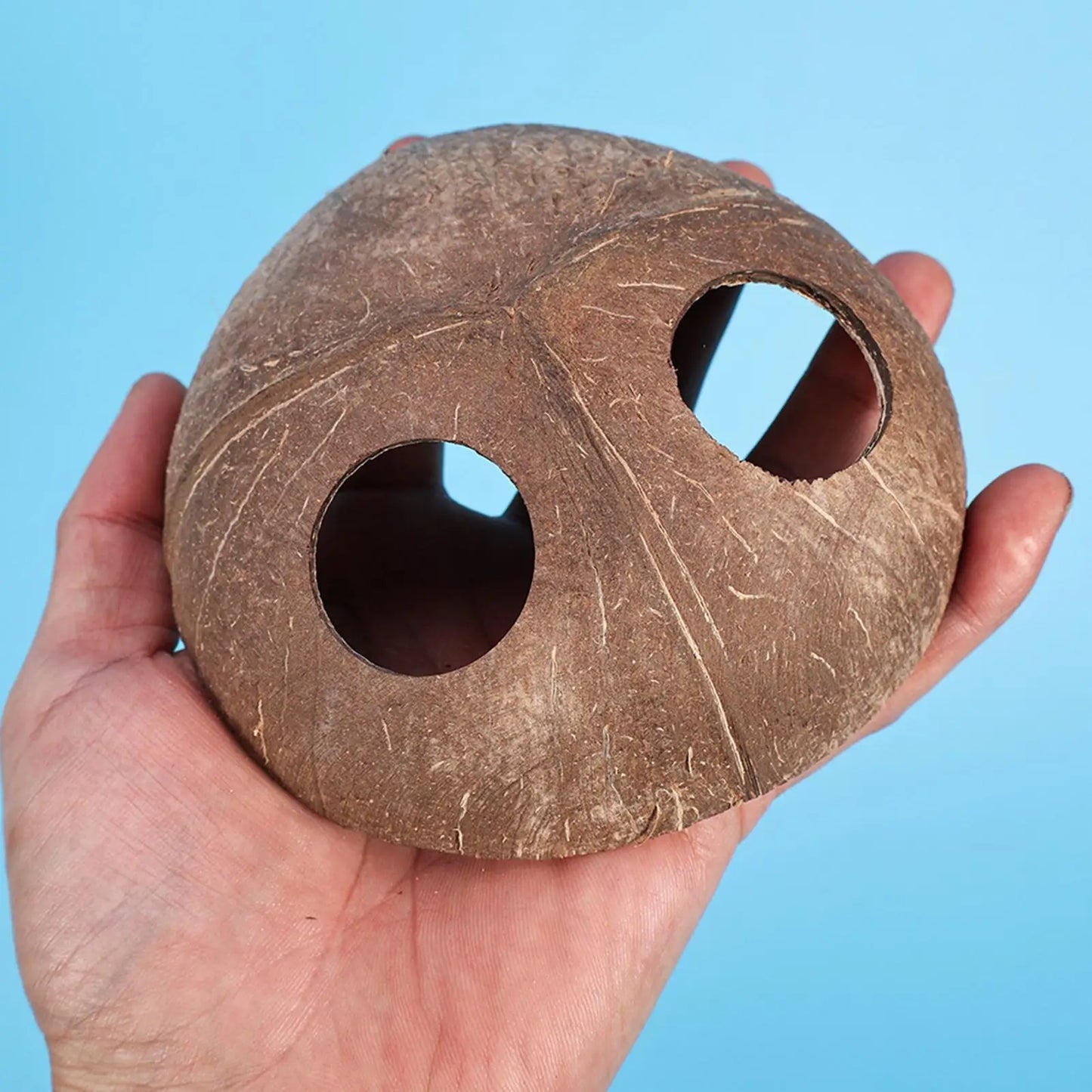 Natural Coconut Shell Reptile Hiding Cave | Turtle & Lizard Hide