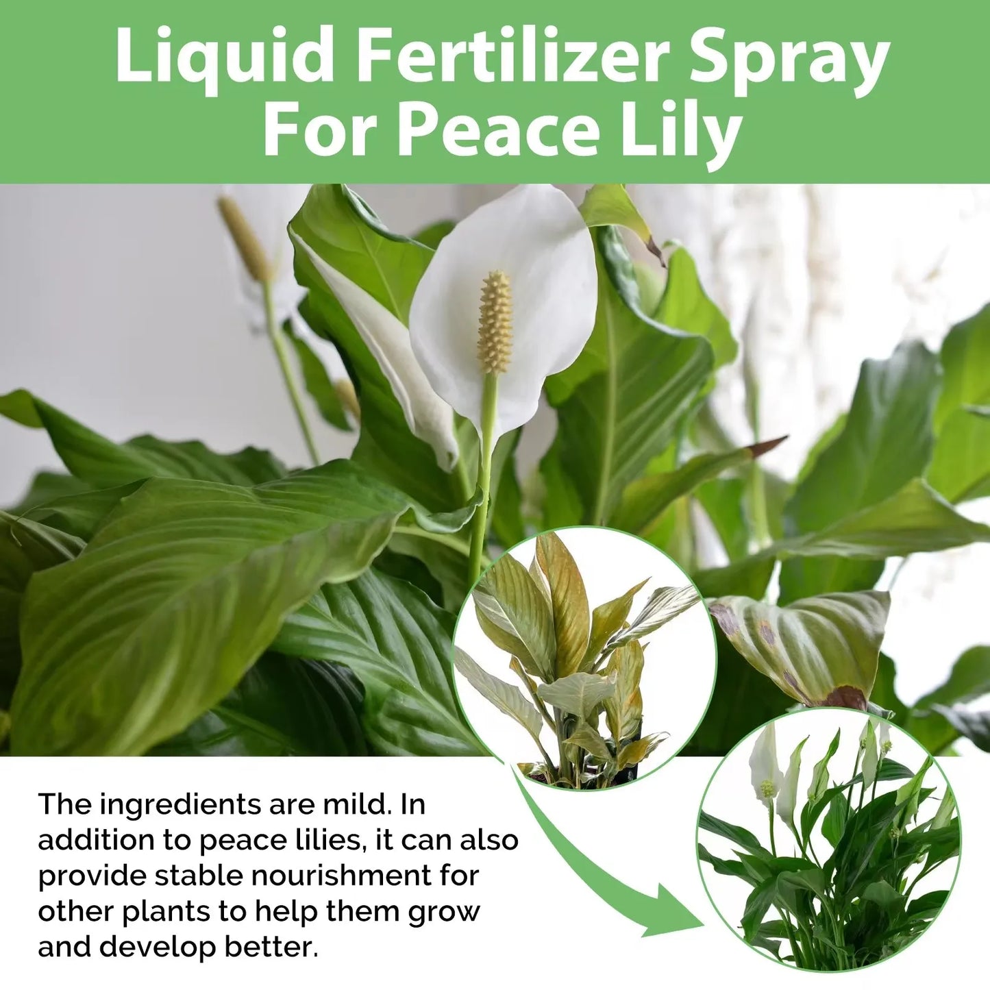 MOONSPRY Rooting Booster Liquid Fertilizer | Hydroponic Plants