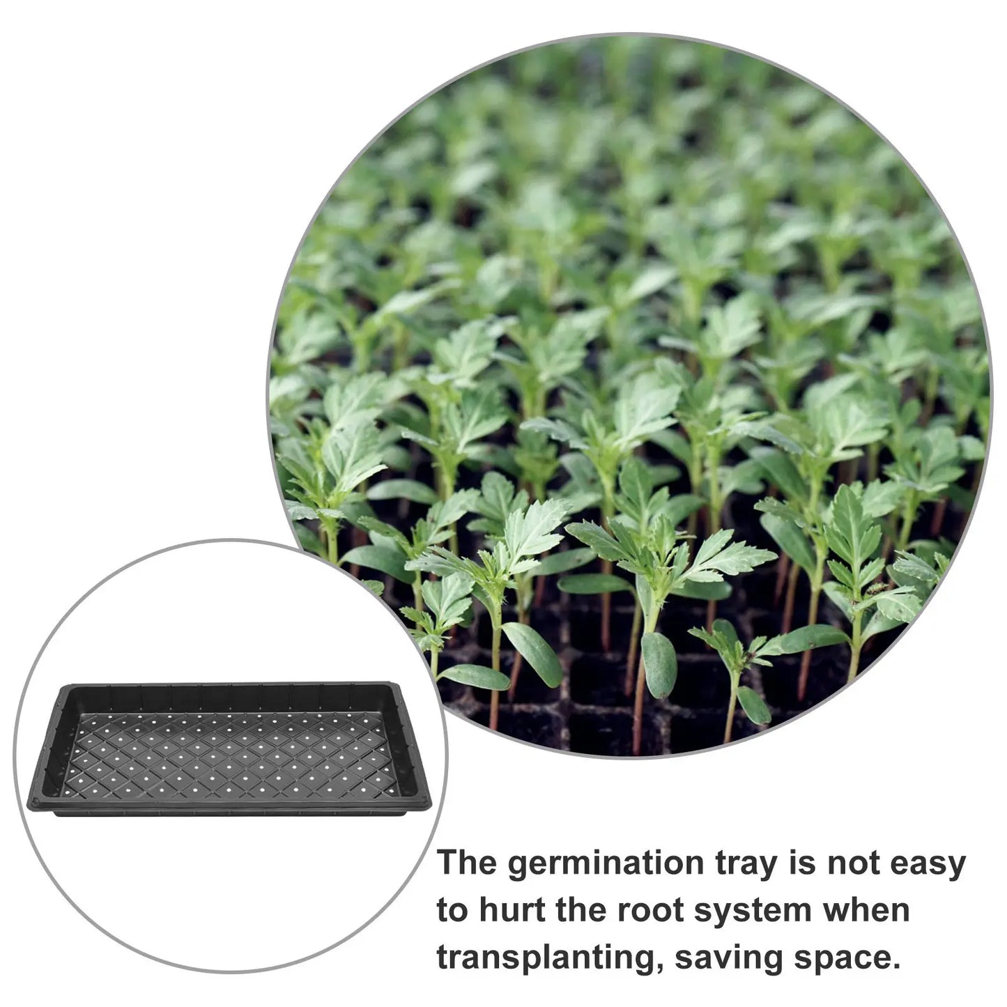 5Pcs Reusable Plant Growing Trays High Durability Germination Plates for Greenhouse Gardening and Agriculture Use Peaceful Pleasures Health and Wellness