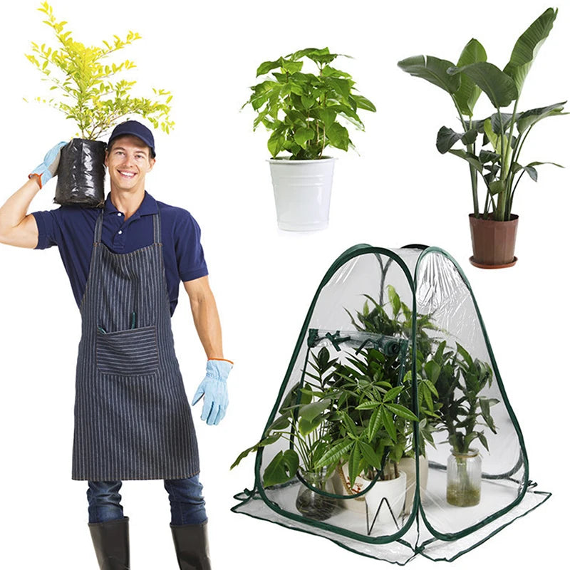 Foldable Pop-Up Mini Greenhouse Tent | Clear PVC Indoor & Outdoor
