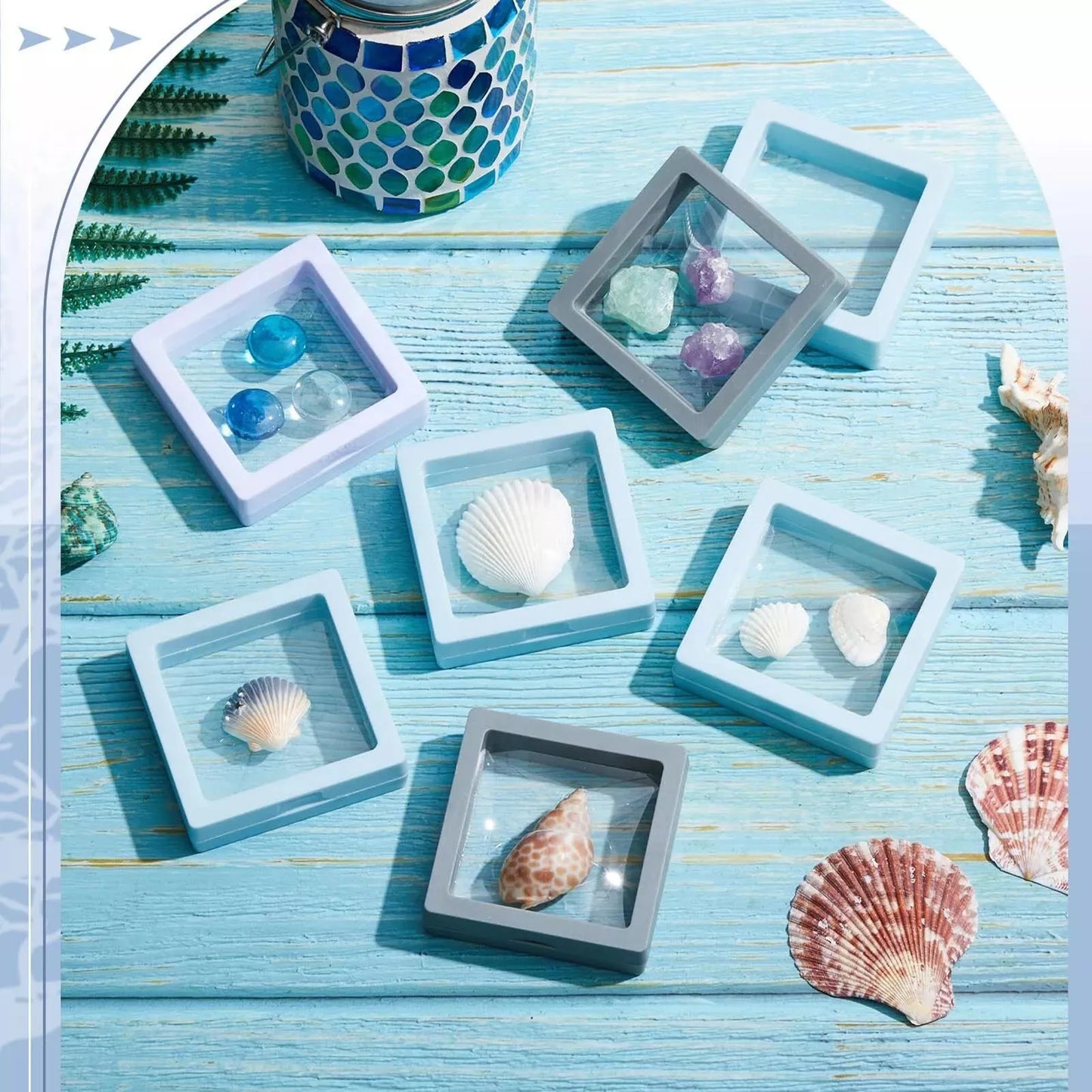 3D Floating Seashell Display Box Small Craft Organizers Display Case for Home Display Cabinet Showcase Peaceful Pleasures Health and Wellness