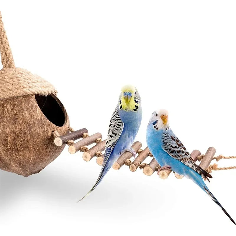 Coconut Shell Birdhouse Hut with Ladder | Natural Bird & Pet Habitat Bird Cage Habitat Peaceful Pleasures Health and Wellness