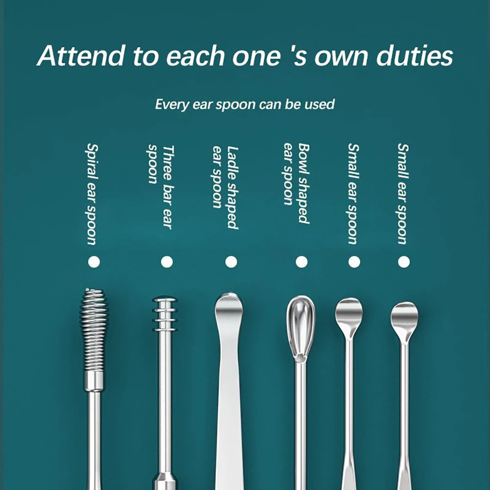 6-Piece Stainless Steel Ear Wax Remover & Earpick Kit