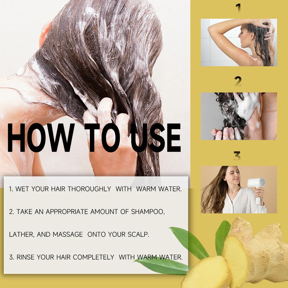 YOUNGCOME Ginger Shampoo 2-Set | 72H Oil Control & Volume 100ml