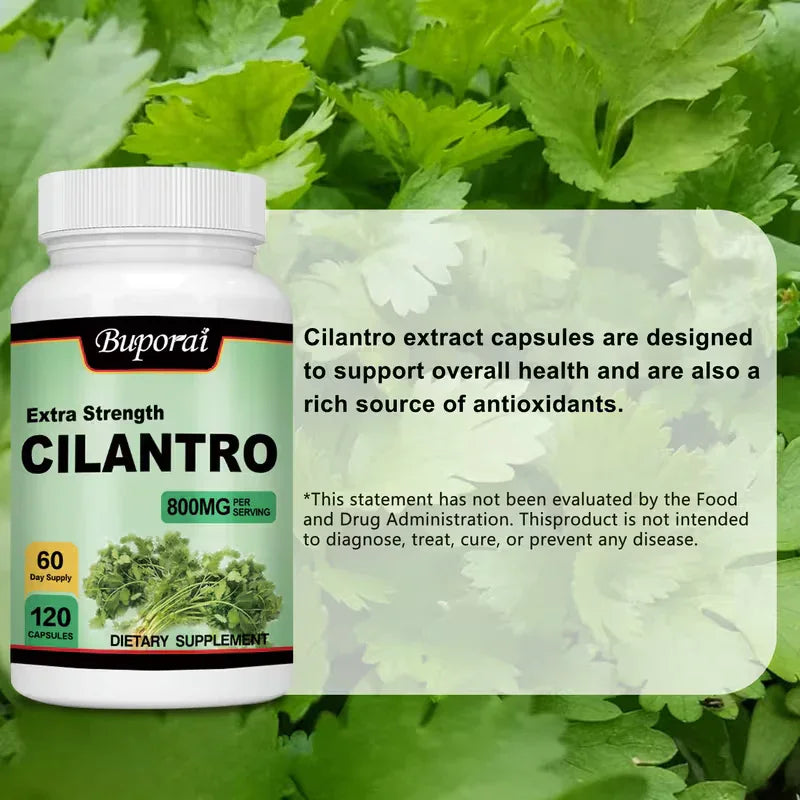 Cilantro 800mg Antioxidant Supplement | Immune Health | 120 Capsules Peaceful Pleasures
