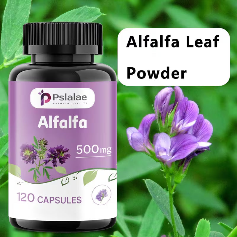 Alfalfa Green Superfood – Digestive Support | 120 Capsules Peaceful Pleasures
